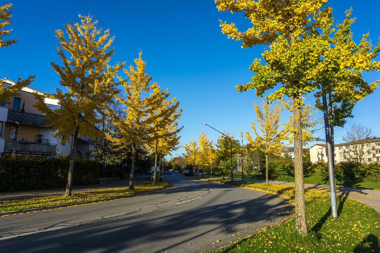 Munich — a green city
