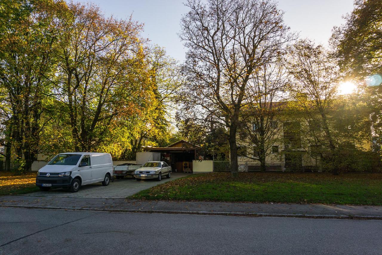 Yard near my home