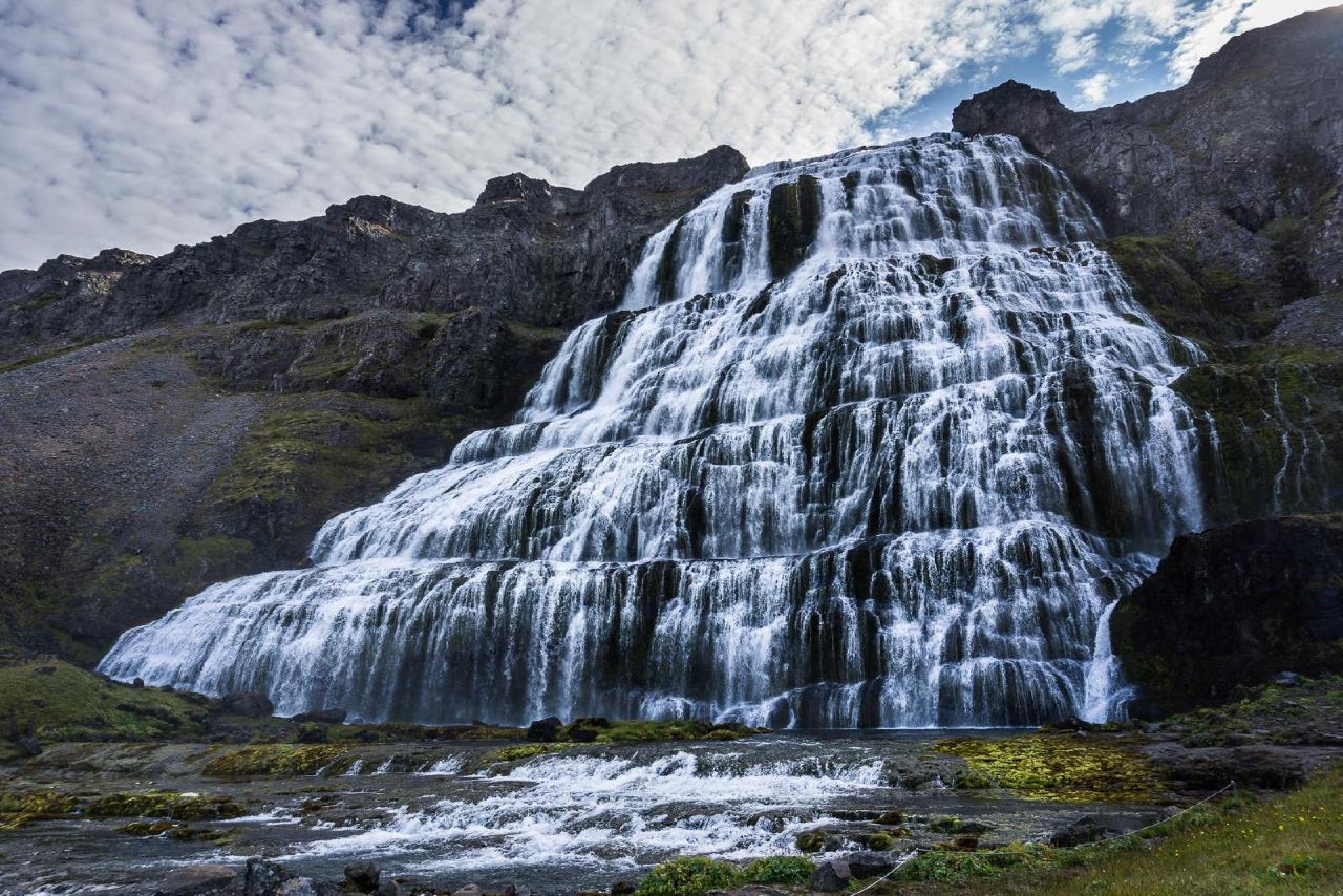 Цветущий Dynjandi / Waterfall-flower Dynjandi
