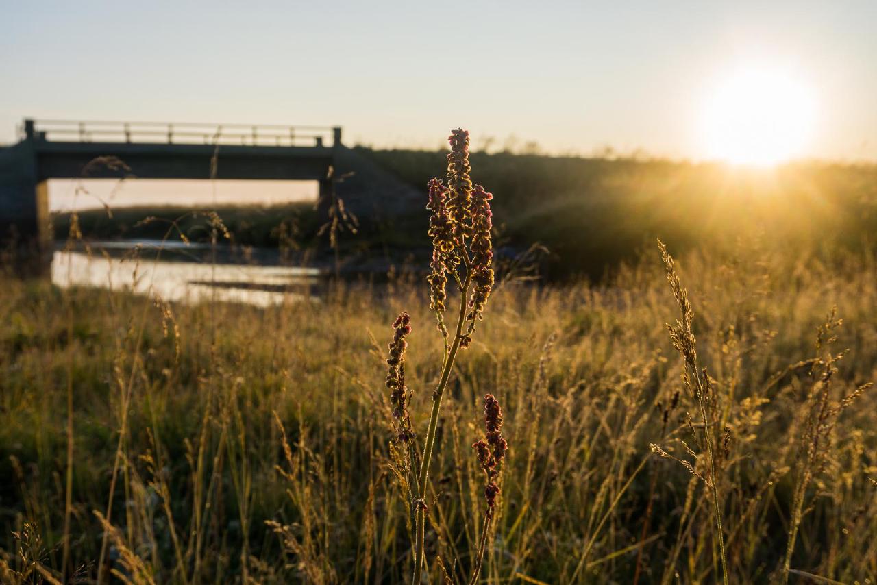 Рассвет под мостом / Sunrise over the bridge, Iceland