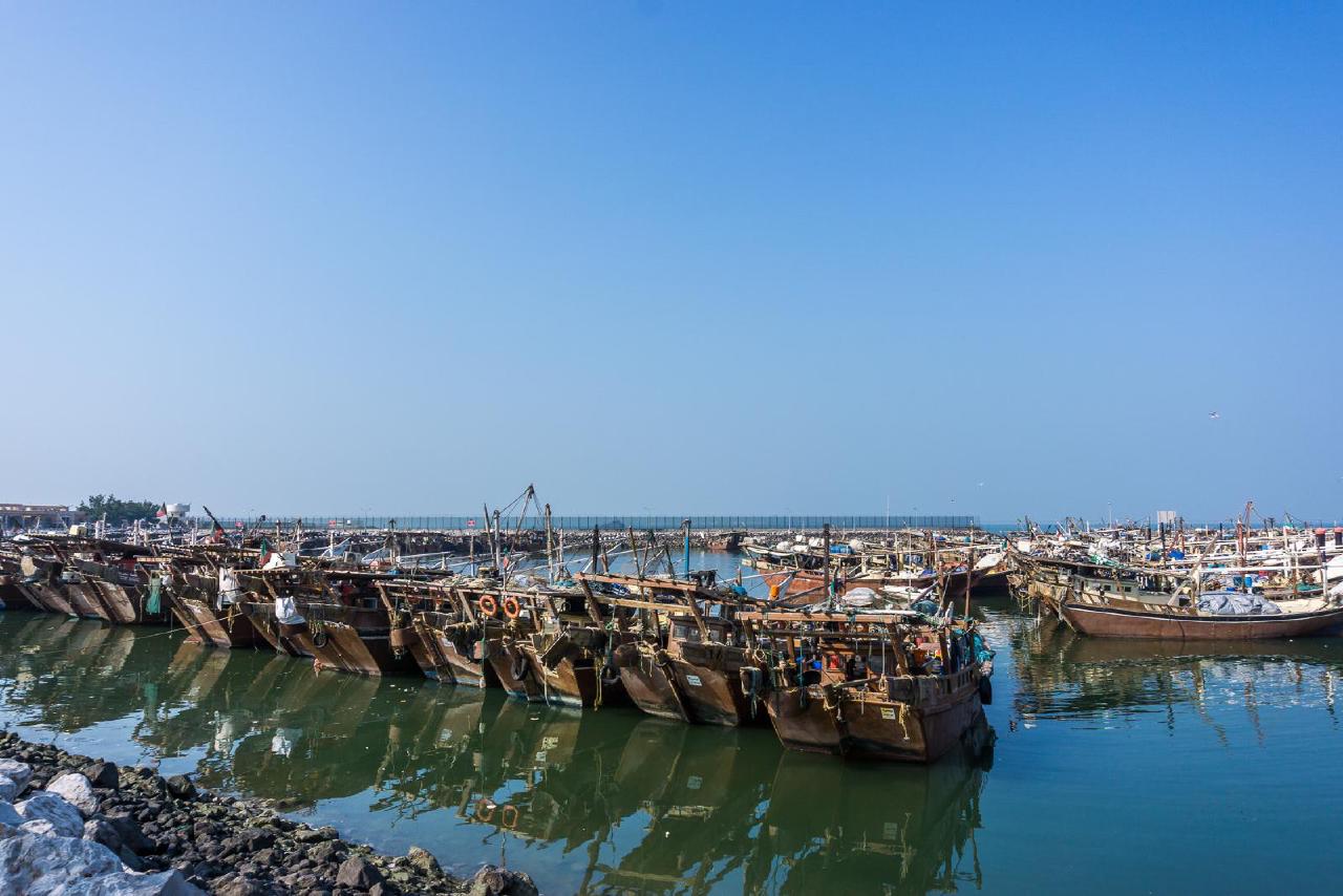 Boats on the shore