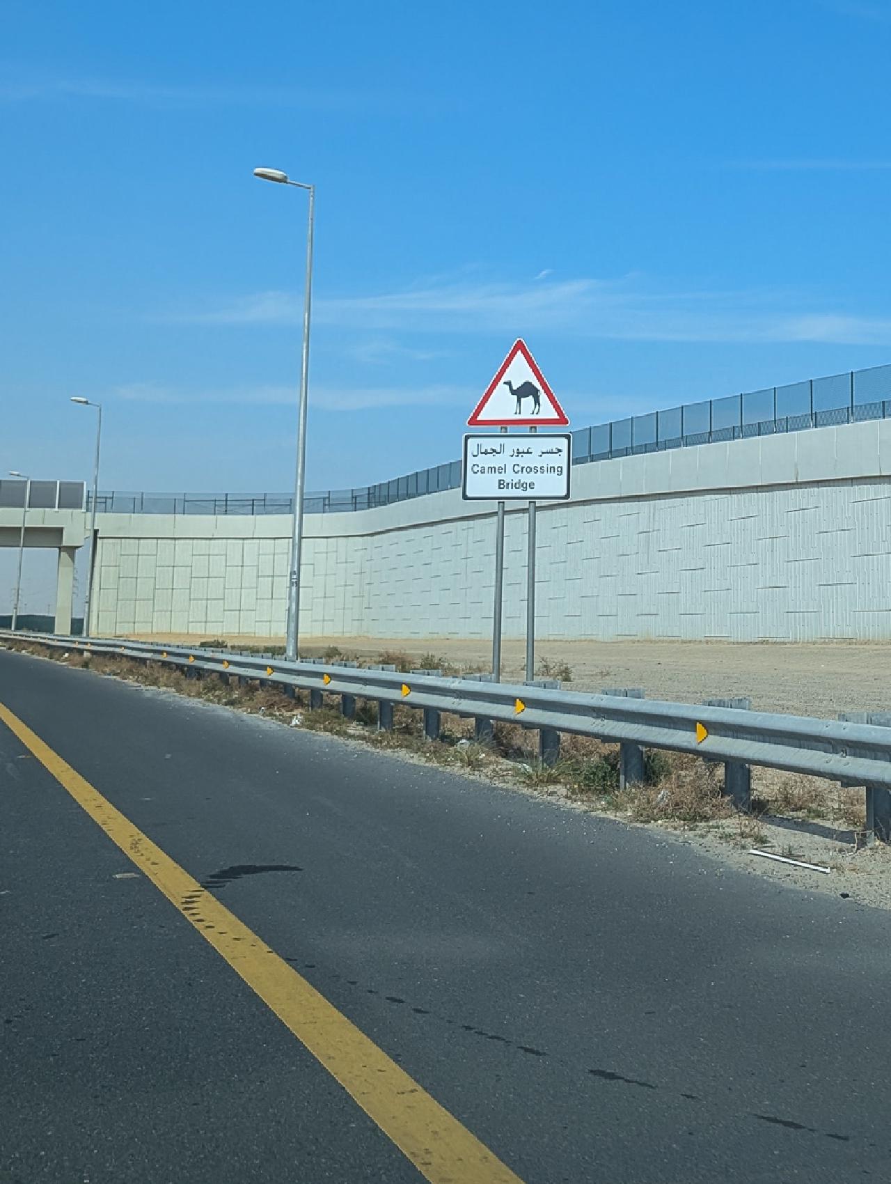 Camel crossing sign