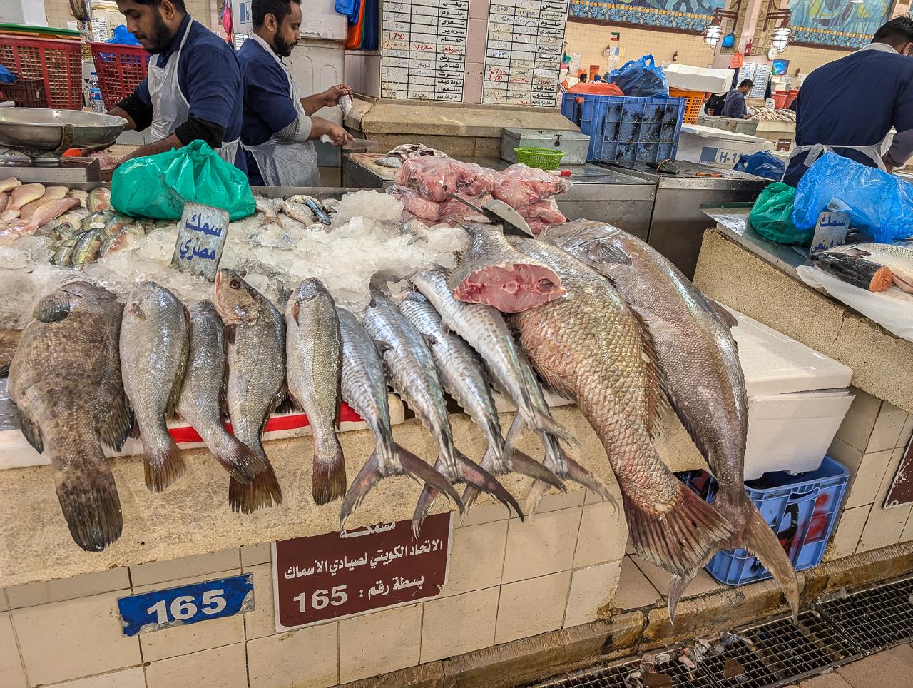 Fish at the Fish Market