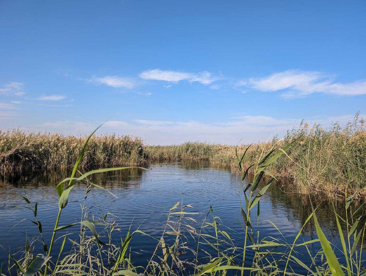 Вода в Кувейте! Вода в Кувейте!