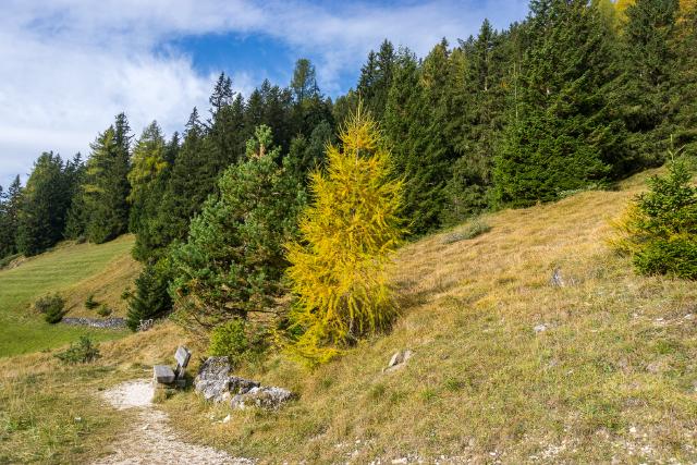 Осень в Южном Тироле / Autumn in Sud Tirol, Italy