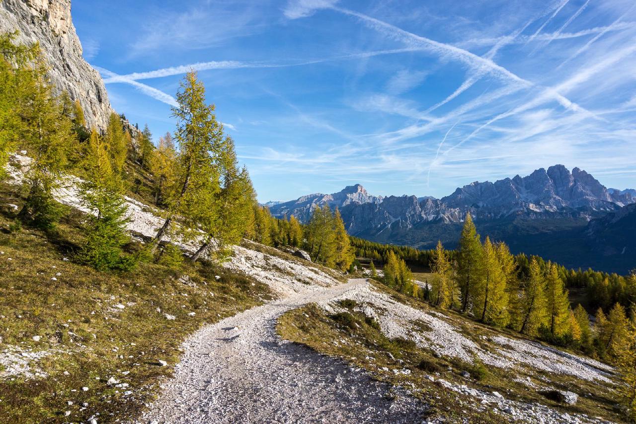 Morning mountain walk Morning mountain walk