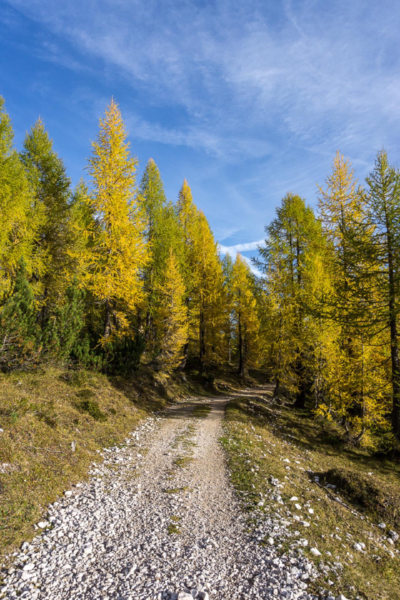 Path into autumn Path into autumn