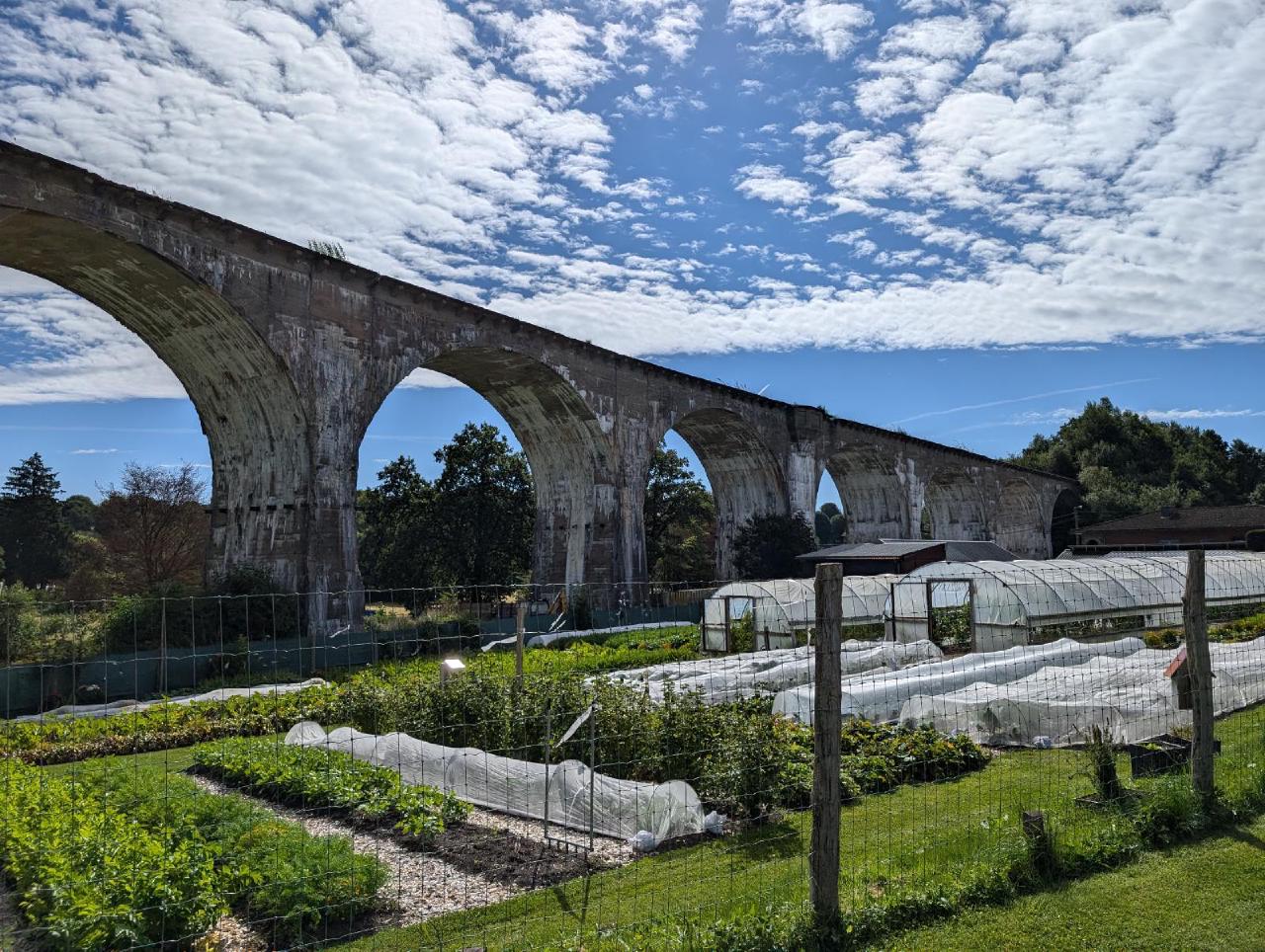Greenhouses near an old bridge