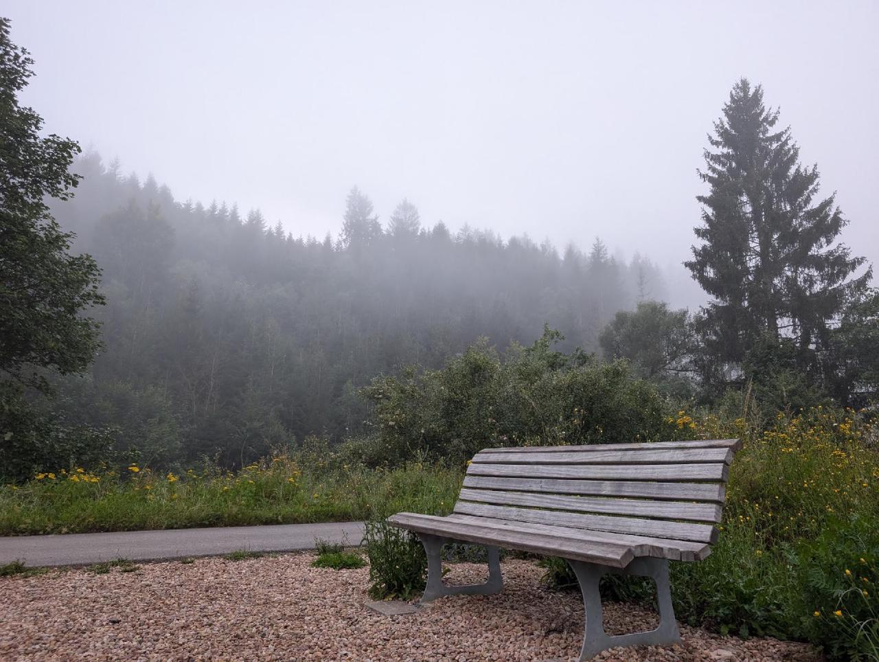 Morning fog