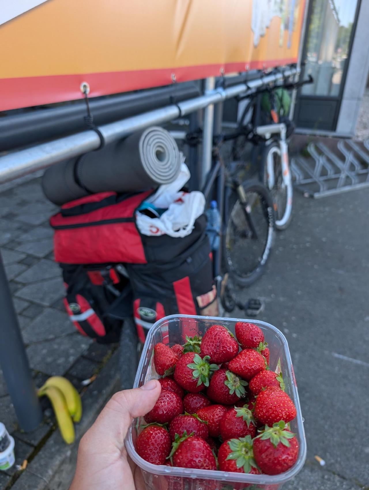 Strawberries for breakfast