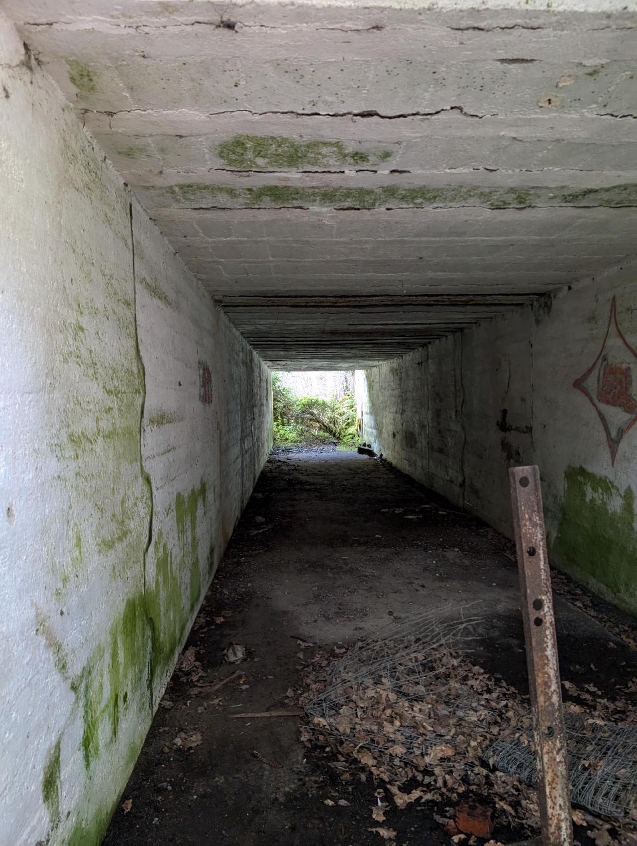 В туннеле В туннеле